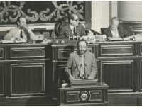 Lluís Maria Xirinacs. Intervención en el pleno del Senado.